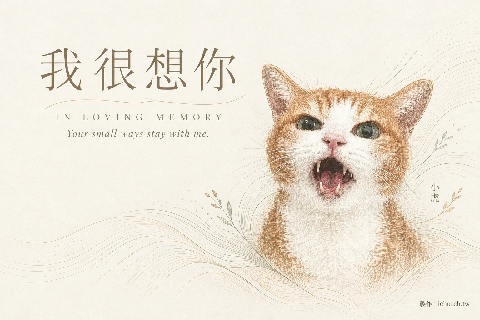 橘白貓小虎的紀念插畫,圖上寫著我很想你