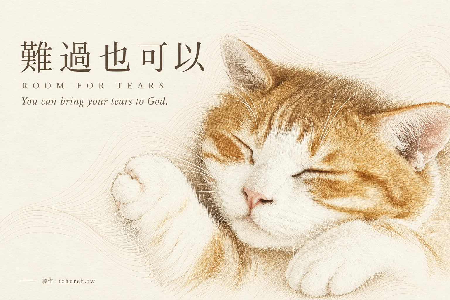 熟睡橘白貓的插畫，圖上寫著難過也可以