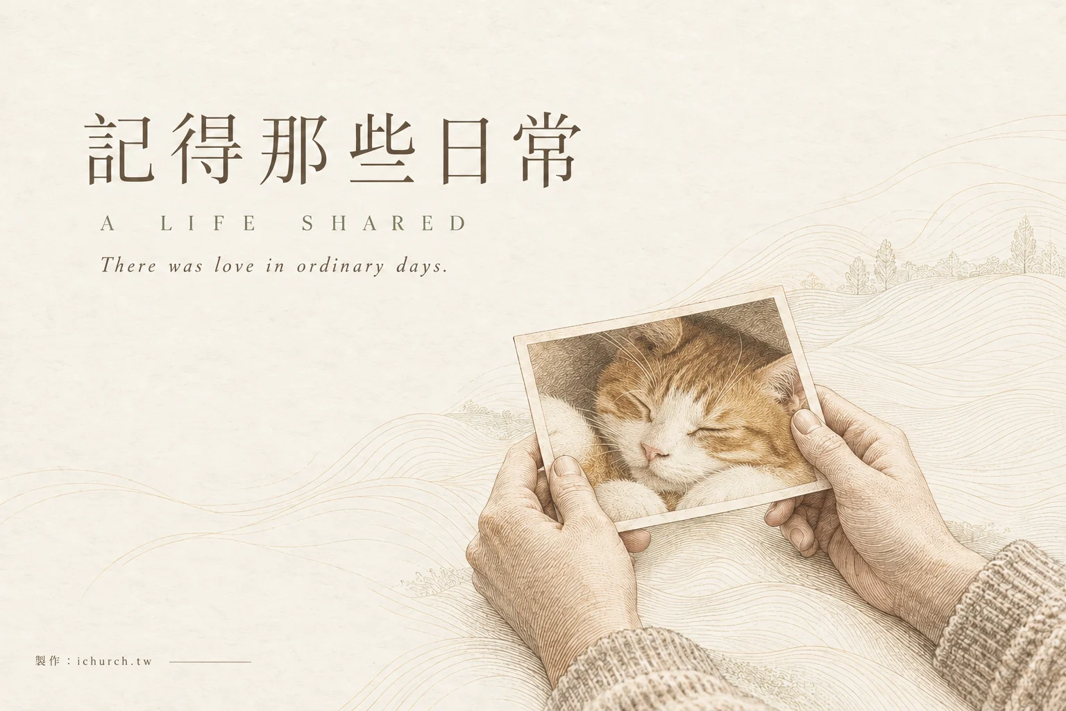 雙手拿著熟睡橘白貓的照片，圖上寫著記得那些日常